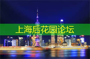 爱上海后花园：上海传统与现代茶道的碰撞，带你领略茶文化的魅力！