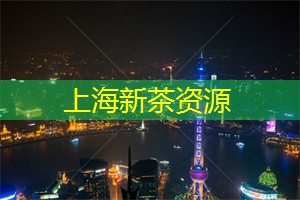 爱上海：无论你是喜欢垂钓的爱好者