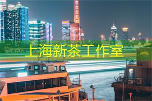 上海各区新茶工作室：打造梦幻夜景的街头表演与互动